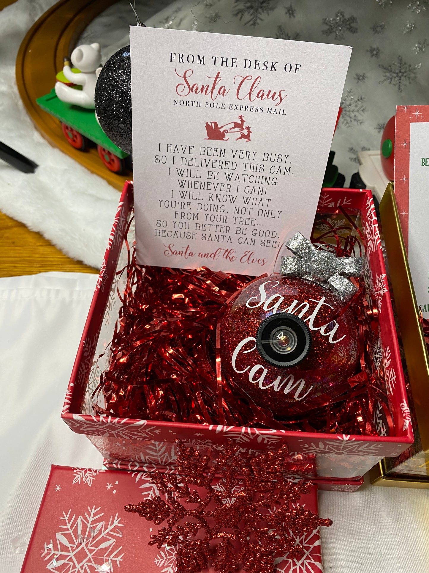 Santa and Elf Cam Ornament